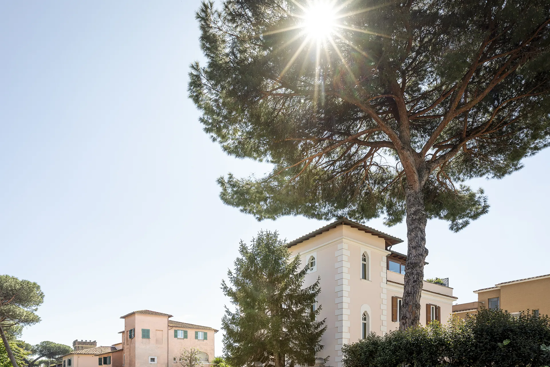 Sun shining through large tree branches near several Mediterranean-style houses and greenery.