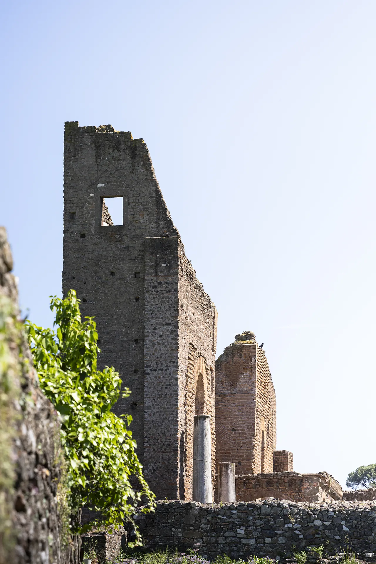 Sunlit ancient stone ruins with tall wall and columns, green leaves on the left, clear sky background.